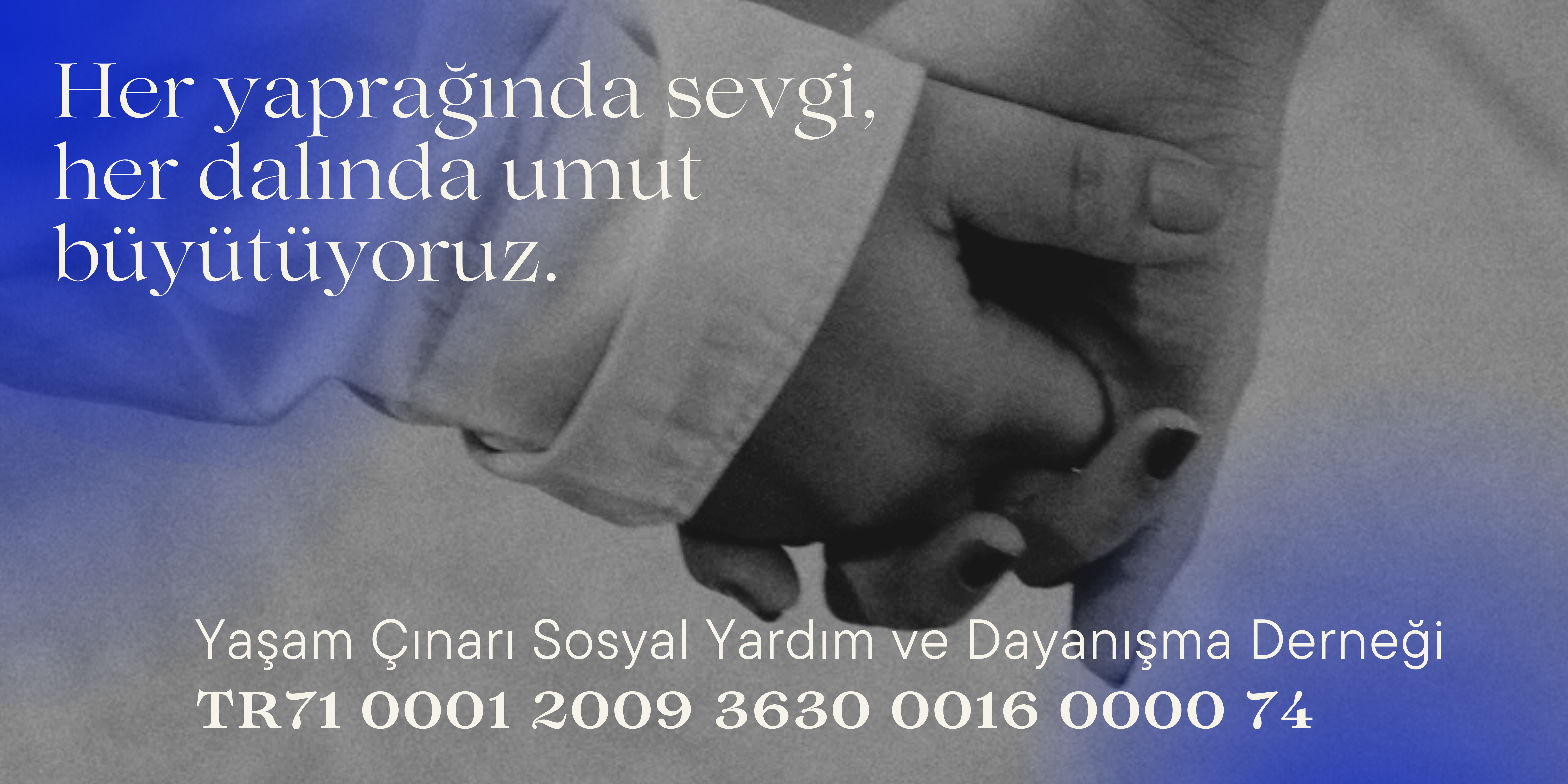 Donation Image